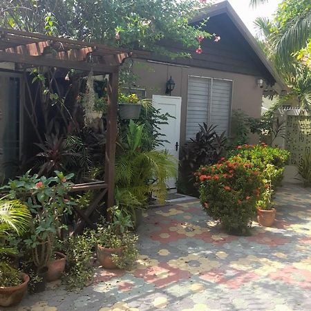 Appartamento 11 Glenhope Avenue Kingston Esterno foto