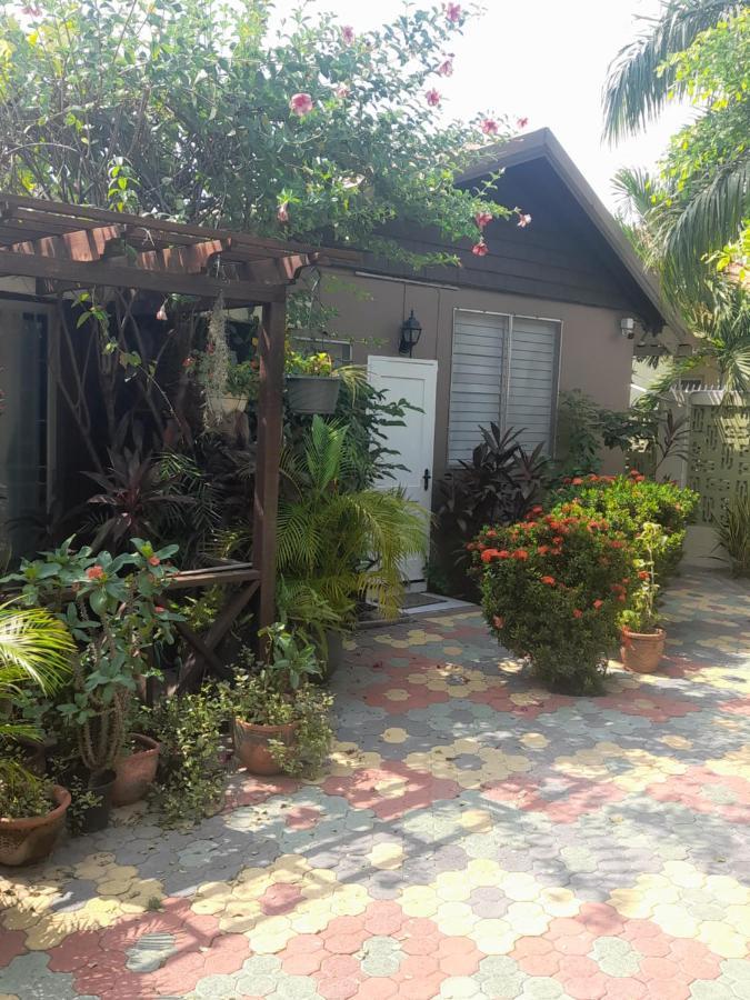 Appartamento 11 Glenhope Avenue Kingston Esterno foto