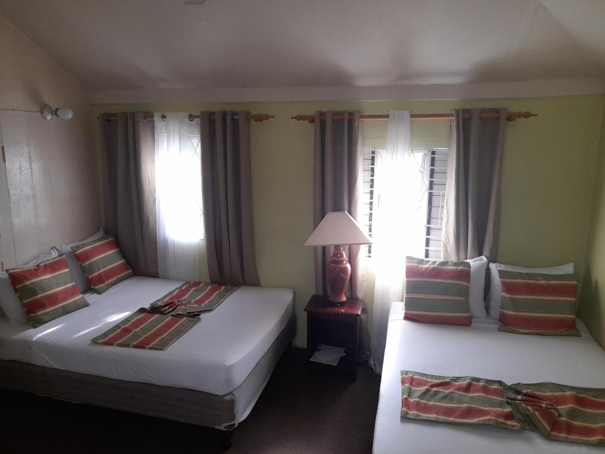 Appartamento 11 Glenhope Avenue Kingston Esterno foto