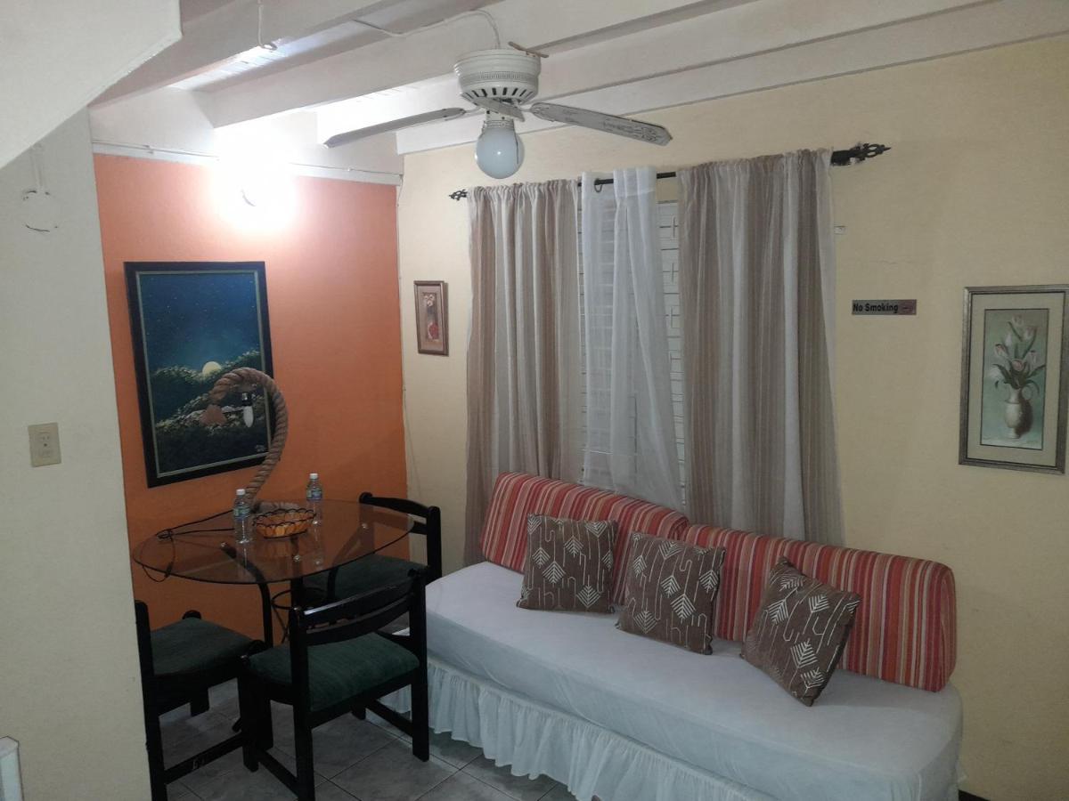 Appartamento 11 Glenhope Avenue Kingston Esterno foto