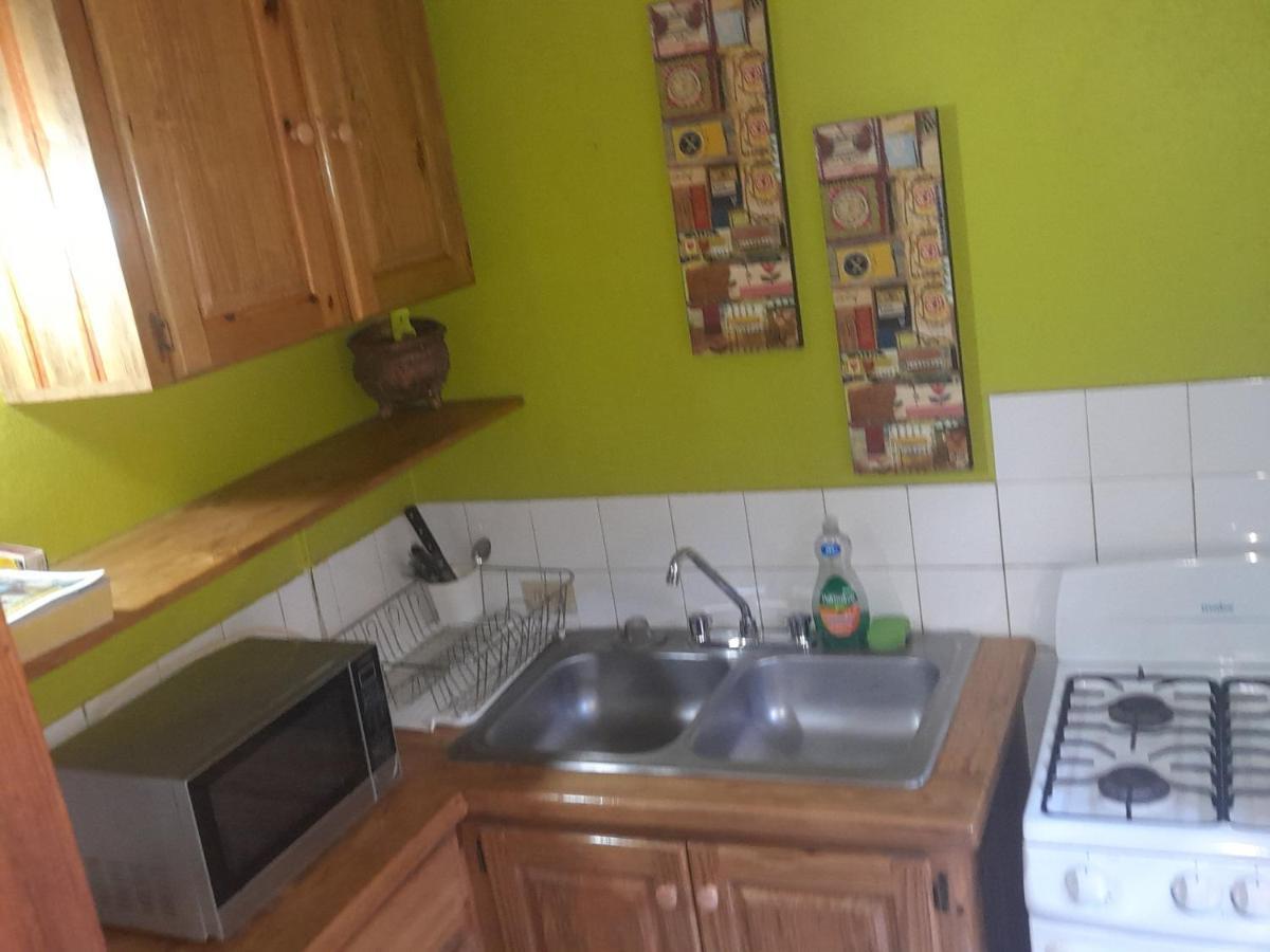Appartamento 11 Glenhope Avenue Kingston Esterno foto