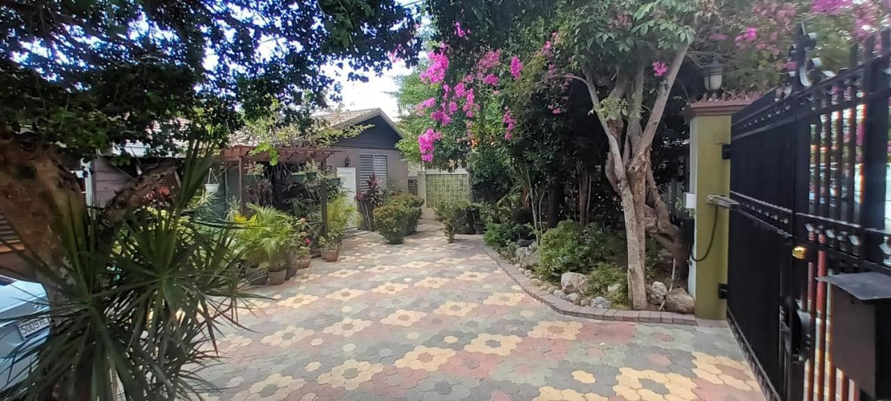 Appartamento 11 Glenhope Avenue Kingston Esterno foto