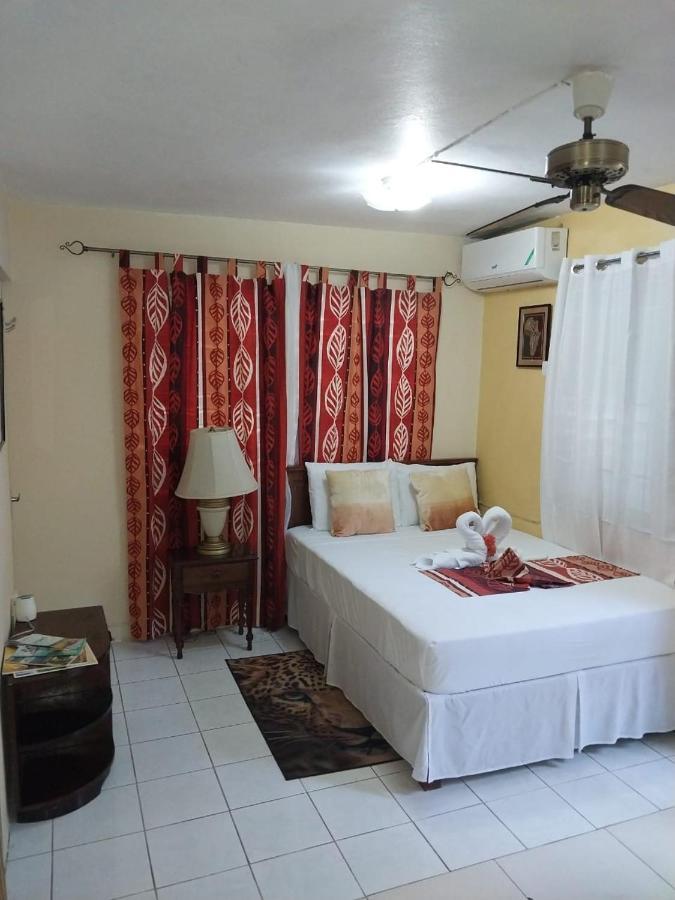 Appartamento 11 Glenhope Avenue Kingston Esterno foto