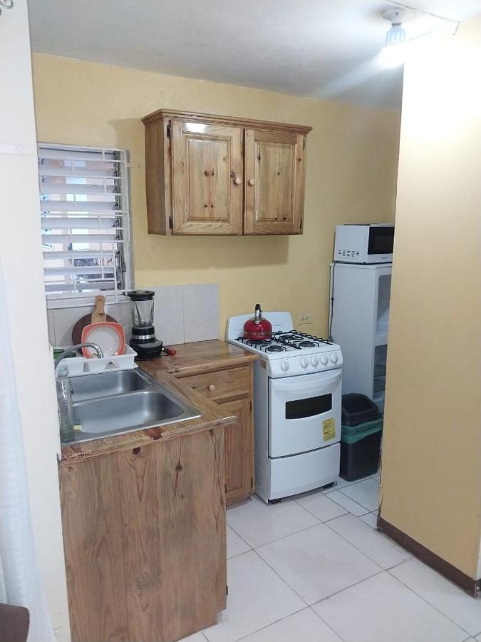Appartamento 11 Glenhope Avenue Kingston Esterno foto