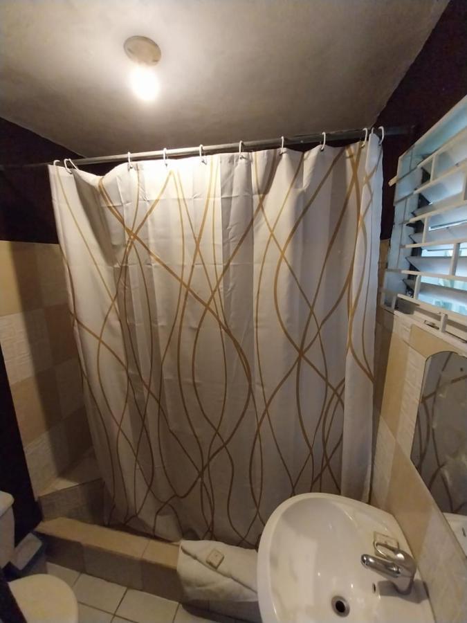 Appartamento 11 Glenhope Avenue Kingston Esterno foto