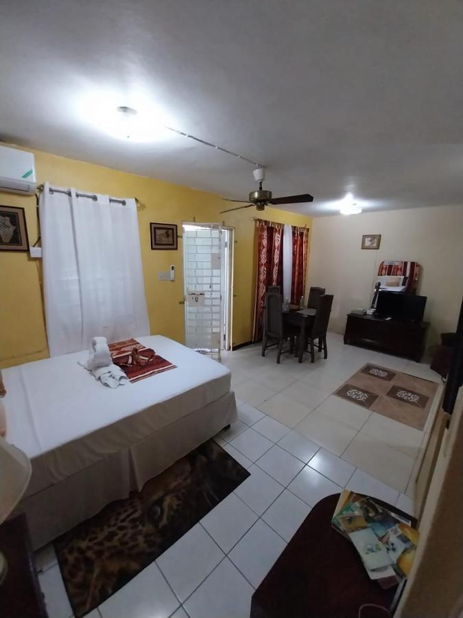 Appartamento 11 Glenhope Avenue Kingston Esterno foto