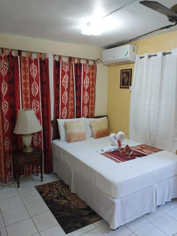 Appartamento 11 Glenhope Avenue Kingston Esterno foto
