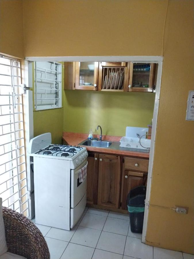 Appartamento 11 Glenhope Avenue Kingston Esterno foto