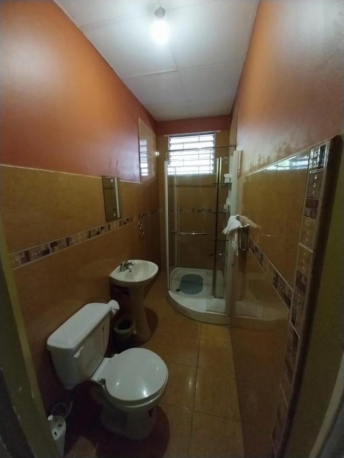 Appartamento 11 Glenhope Avenue Kingston Esterno foto